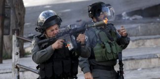Remaja Palestina Ditembak Mati Karena Menikam Warga Israel 1