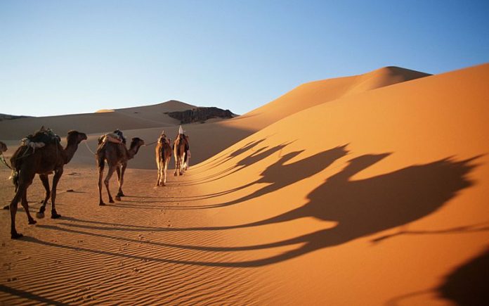 Qais Bin Sa'ad Bin Ubadah